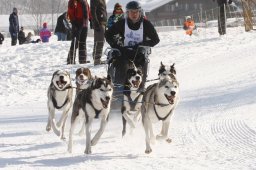 Lenk 2012 SM